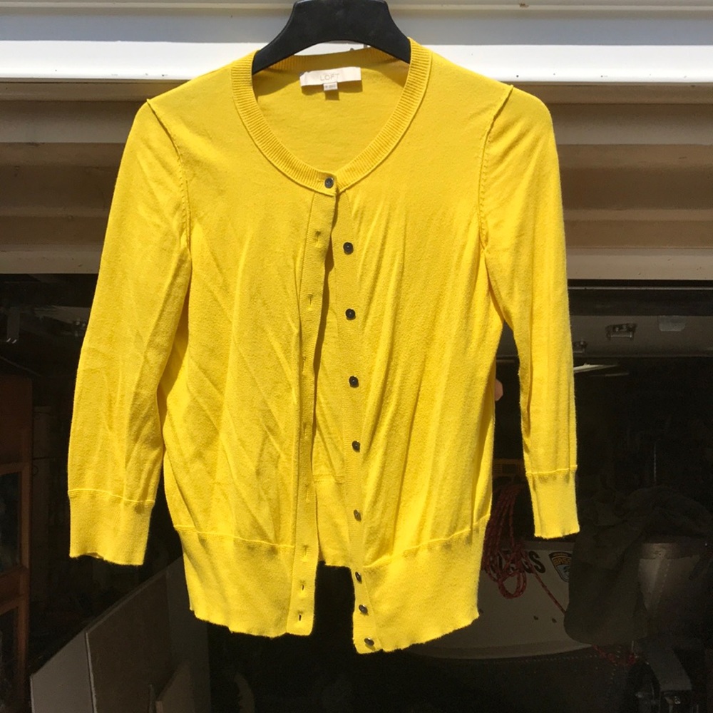 Ann Taylor Loft cardigan